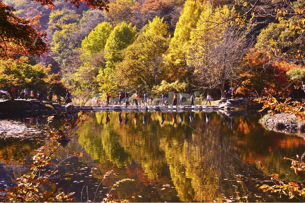장성,백양사,백양사가을,백양사추색,연못,징검다리,반영,water,물,nature,자연,outdoors,옥외,human,인간,person,사람,plant,식물,tree,나무,가을,계절,fall,autumn,season