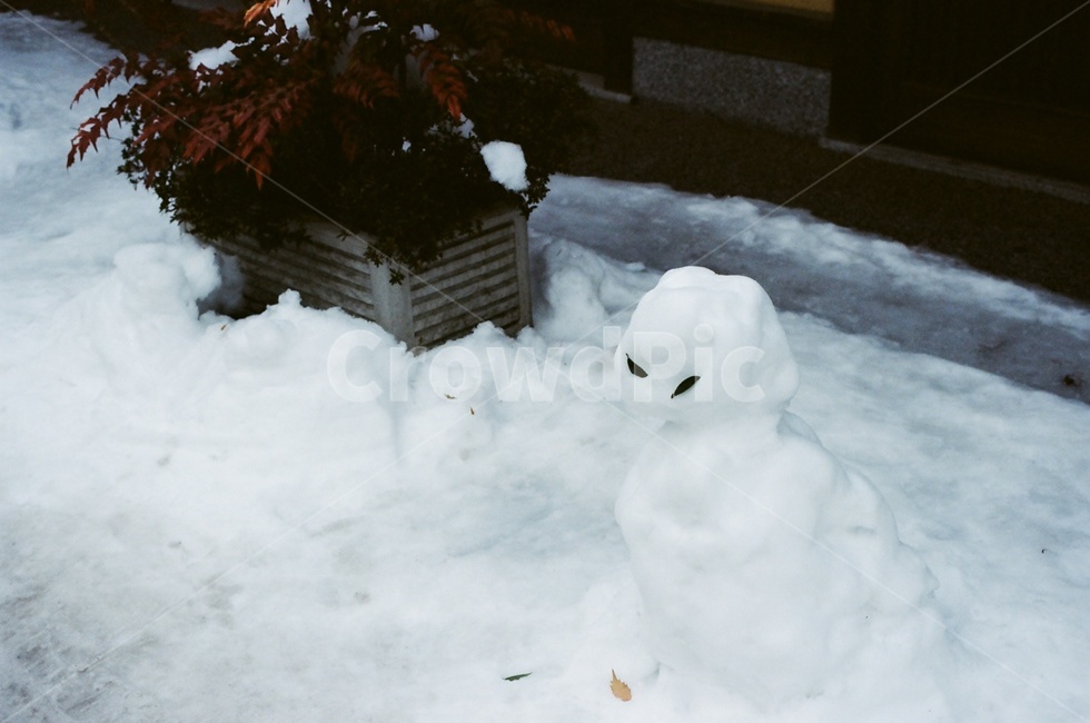 겨울,눈사람,눈,화이트,저녁,겨울,계절,winter,season