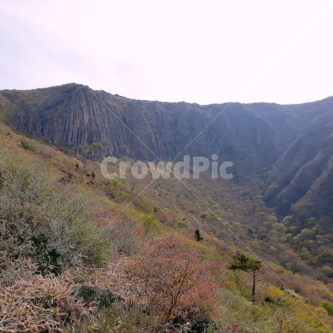 제주도,한라산,산,등산,자연
