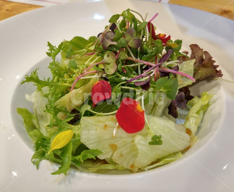 샐러드,사라다,채소,야채,양상추,건강,헬스웨어,헬스케어,healthware,health care,음식,식재료,요리,food,cook,meal,dishes,food reserves