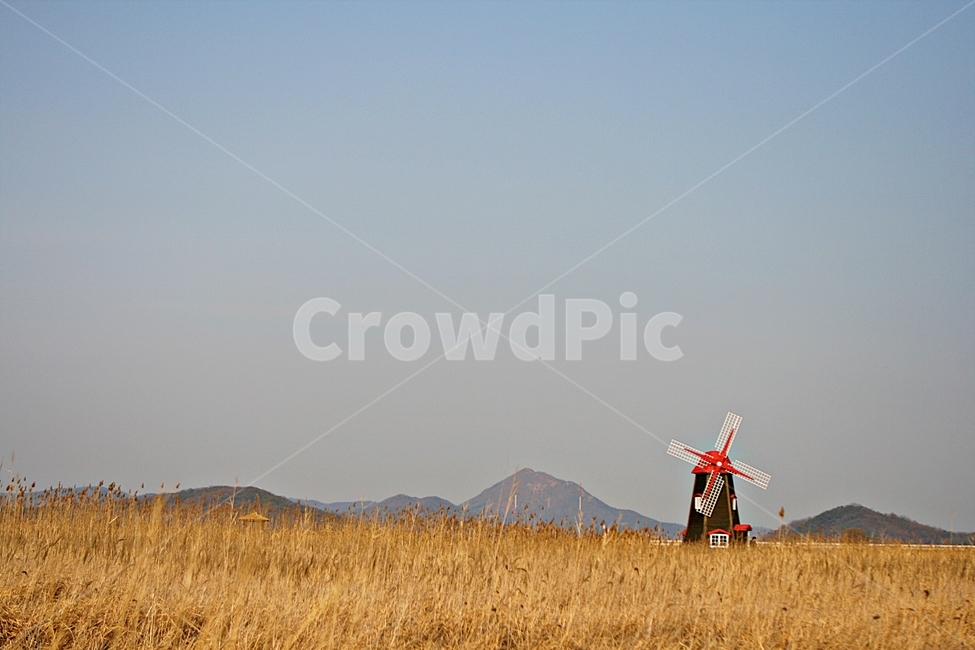 풍차,바람개비,갈대,자연,가을,가을,계절,fall,autumn,season,건축물,건물외관,exterior,building,structure,architecture,construction,motor,모터,engine,엔진,machine,기계