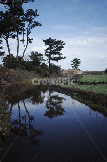nature,자연,outdoors,옥외,water,물,ditch,도랑,반사,하늘,구름,나무,sky,cloud,tree,초록,green