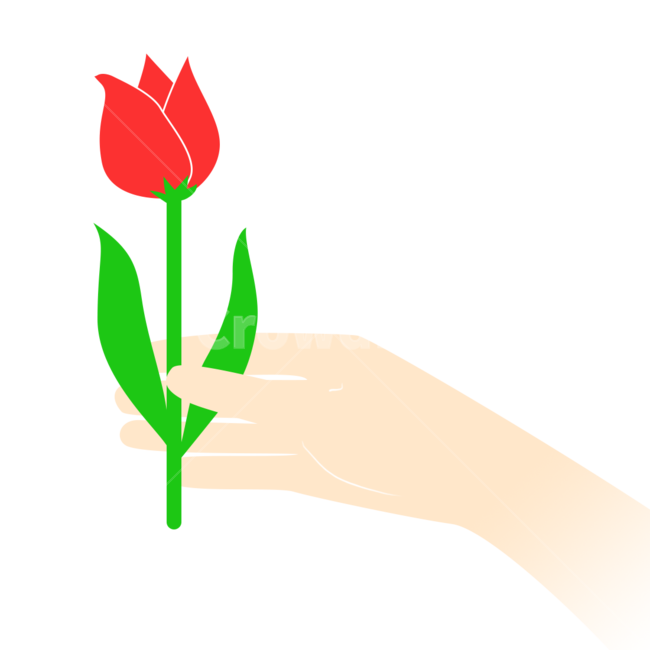 튤립,꽃,일러스트,png,tulip,그래픽,일러스트레이션,graphic,illustration