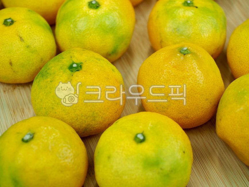 귤,제주감귤,제주도특산품,감귤,과일,제주도,노랑,음식,배경,tangerine,jejutangerine,jejuislandspecialties,fruit,jejuisland,yellow,food,background,citrusfruit,감귤류과일,식물