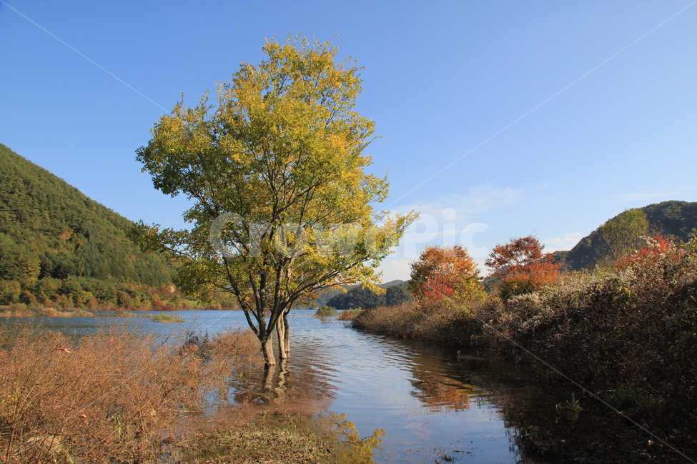 용담호,생태공원풍경,휴일,가을풍경,나홀로나무,자연,풍경,nature,landscape