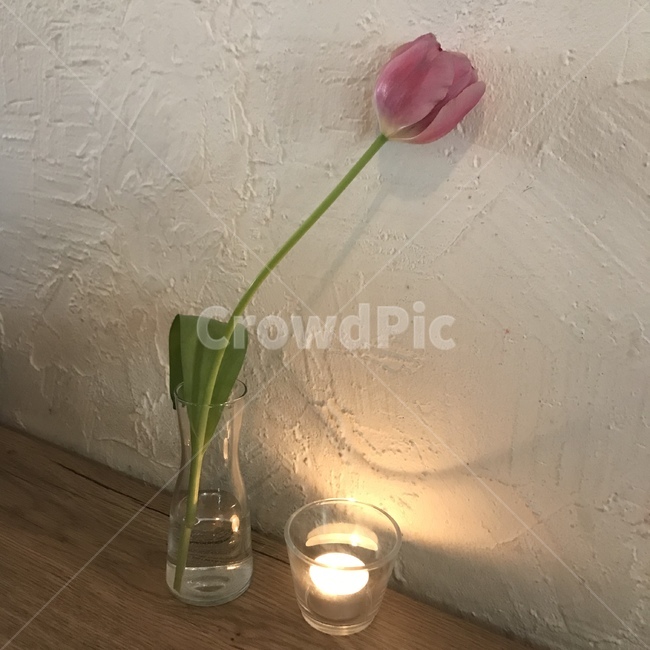 튤립,캔들,꽃,따뜻함,꽃병,실내용화초,화분,화초,house plant