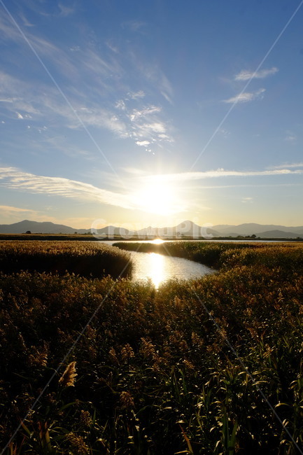 순천만,갈대,순천,하늘,노을,sunset,물길