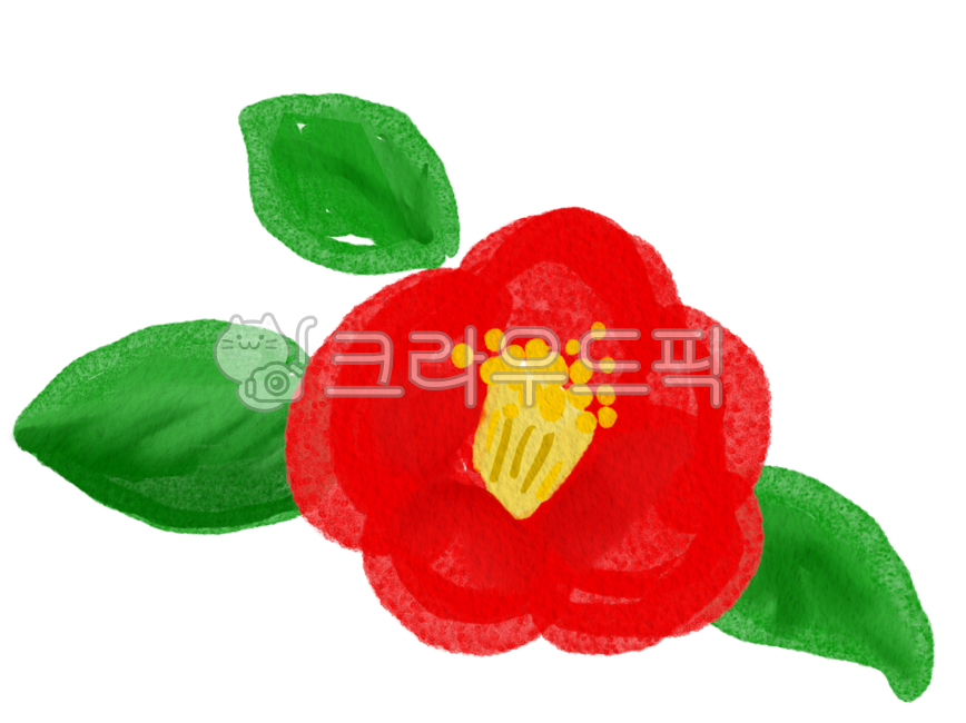 동백꽃,동백,camellia,꽃,빨간꽃,redflower,제주,제주꽃,43,제주43,식물,jeju,손그림,illustration,자연,봄꽃,봄,카멜리아,잎사귀,겨울꽃,꽃그림,제주동백,일러스트,동백꽃일러스트,꽃일러스트,red,green,초록,plant