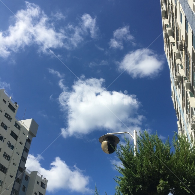 하늘,구름,가로등,나무,아파트,건축물,건물외관,exterior,building,structure,architecture,construction