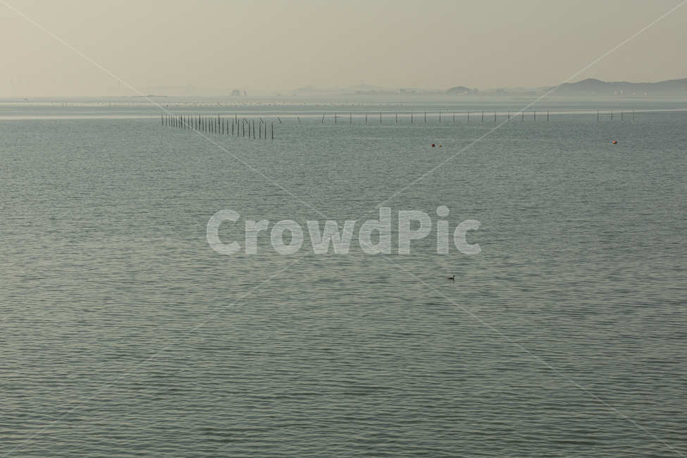 푸른,바다,하늘,갈매기landscape,beautiful,water,blue,view,sea,sky,outdoor
