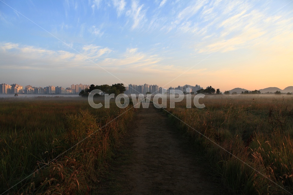 삘기,풍경,하늘,길,감성,자연,풍경,nature,landscape,한국자연풍경,한국자연경관,korea nature landscape,도시,city,한국도시풍경,한국도시경관,korea cityscape,outdoors,옥외