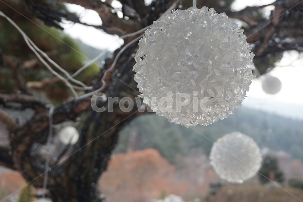 겨울,나무,장식,접사,겨울나무,크리스탈,수정,winter,tree,사물,물건,오브젝트,thing,object,matter