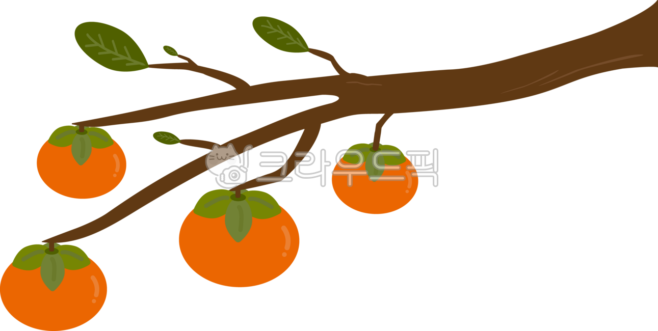 단감일러스트,단감,가을,단감이미지,단감요소,감그림,감모양,감홍시,먹는감,곶감,과일,가을과일,겨울,겨울과일,한가위,정월대보름,홍시,감,감배경,감일러스트,감클립아트,나뭇가지,감나무가지