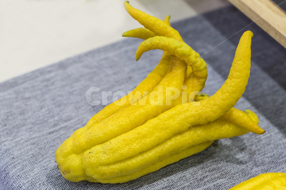 불수감,열매,과일,선황색,노란색,부처,손가락,과일,열매,fruit