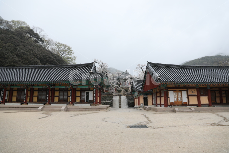 구례,화엄사,사찰,전통가옥,절,한국전통,한국문화,korean traditional,korean culture,종교,신앙,religion,belief,faith