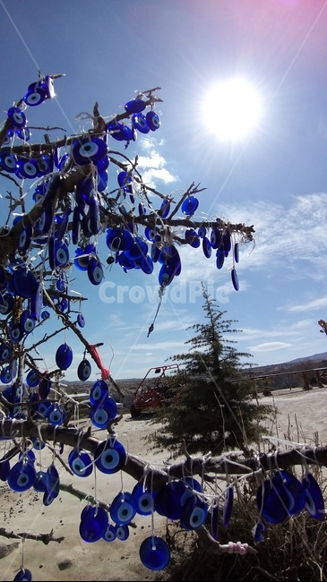 태양,나무,악마의눈,나자르본주우,turkey,cappadocia,터키,카파도끼아