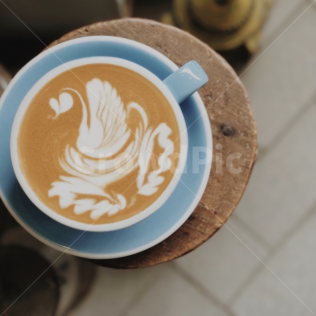 카페라떼,라떼아트,백조,스완,아트,커피,카페,커피,카페,coffee,cafe,감성,sensible,feeling