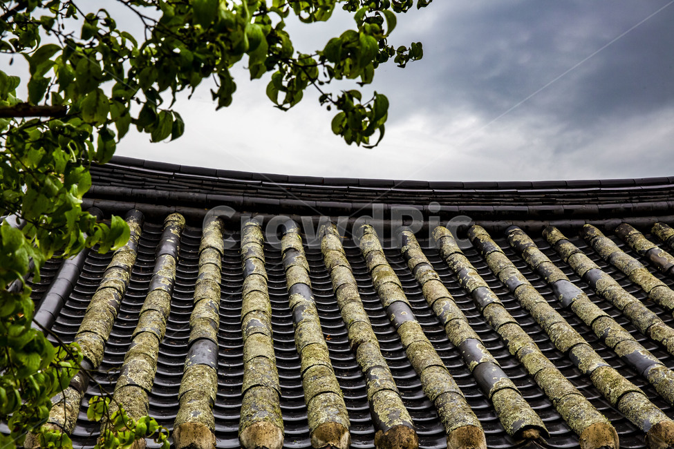 Gunja Village,traditional tiles,Cultural Heritage,old house,tile roof,Andong attractions,Attractions,Korean meaning,traditional house