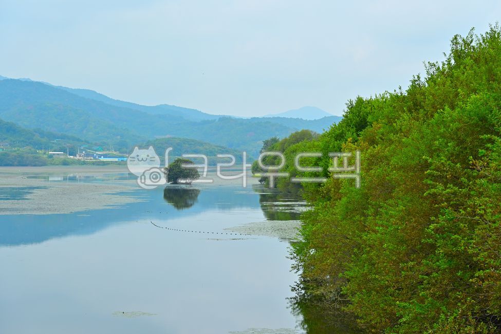 강,물,풍경,호수,자연,하늘,숲,나무,산,여름,초록색,반사,나무들,농촌,구름들,아름다움,산들,관광,평화로운,구름,아름다운,전망,풀,환경