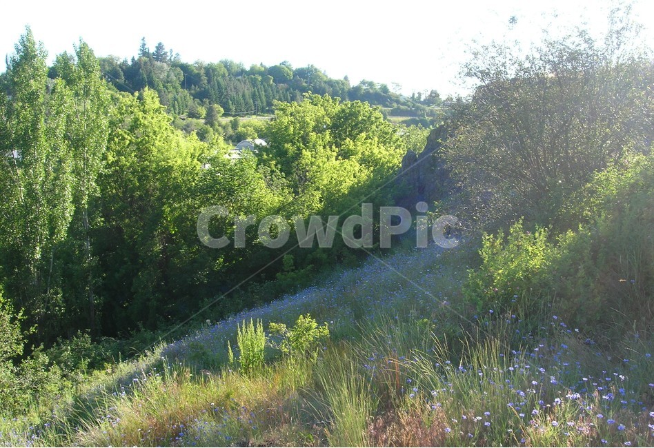 자연,nature,옥외,outdoors,언덕,구릉,hill,hillside