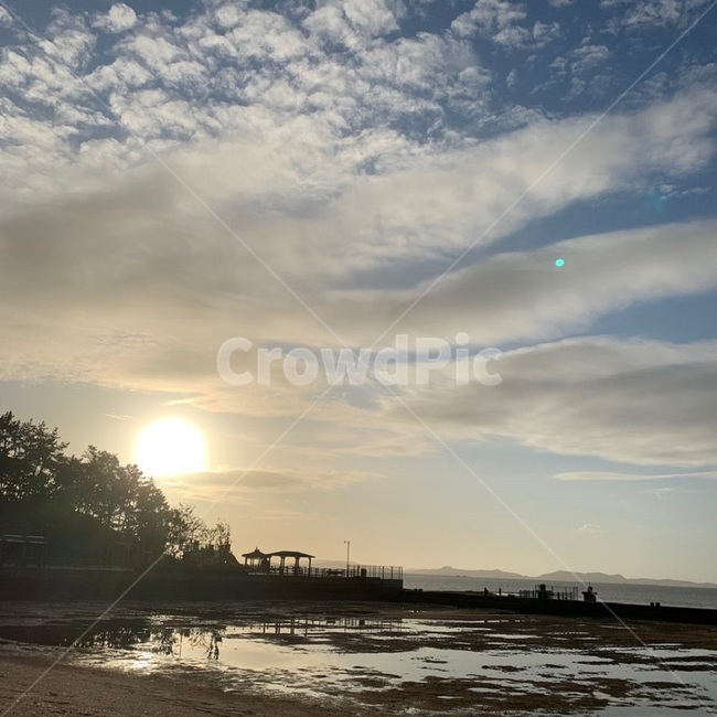 빛,nature,자연,바다,햇빛,sunlight,light,자연,풍경,nature,landscape,flare,플레어,outdoors,옥외