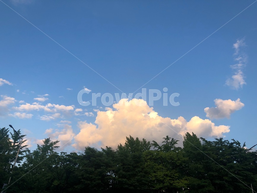구름,하늘,나무,sky,cloud,trees