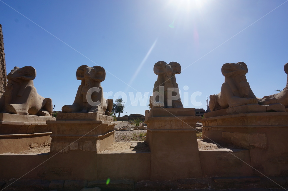 이집트,룩소르,아스완,중동,아랍,egypt,랜드마크,landmark,tourist attraction,해외,외국,세계,foreign,oversea,world,세계랜드마크,해외랜드마크,외국랜드마크,world landmark,world tourist attraction,조각상,동상,석상,조형물,statue,bronze statue,stone statue,monument,기념물