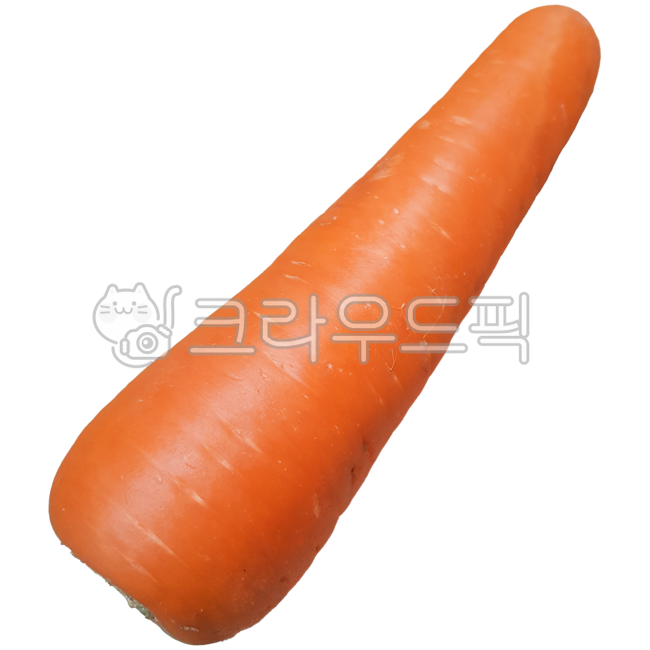 carrot,당근,채소,vegetable,음식,요리,식재료,food,야채