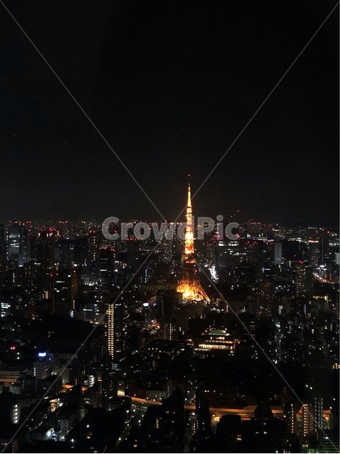 일본,도쿄,도쿄야경,도쿄타워,야경,야경,밤,풍경,nightscape,night,landscape,도시,city,nature,자연,outdoors,옥외,경치,scenery,steeple,뾰족한 탑,architecture,건축물,tower,탑,building,건물,spire,첨탑,aerial view,조감도