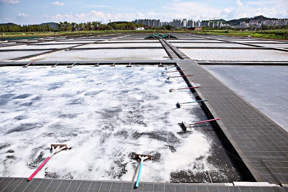 시흥갯골생태공원,생태공원,염전,소금,바다물,물,농업,자연,풍경,해수,산업,industry,industrial