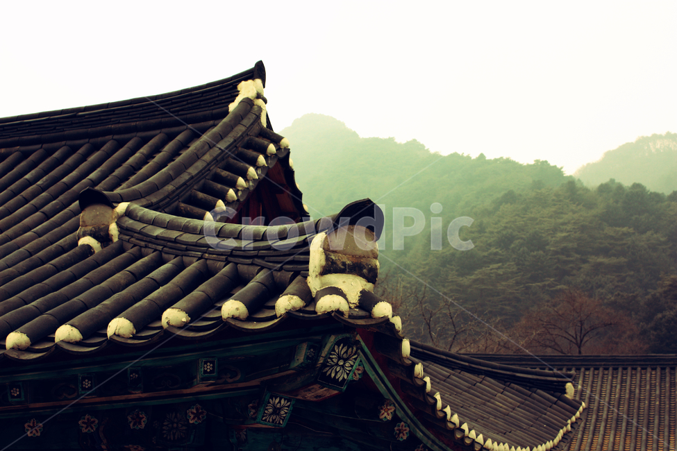 한국,기와,단청,절,전통,한국전통,한국문화,korean traditional,korean culture,건축물,건물외관,exterior,building,structure,architecture,construction