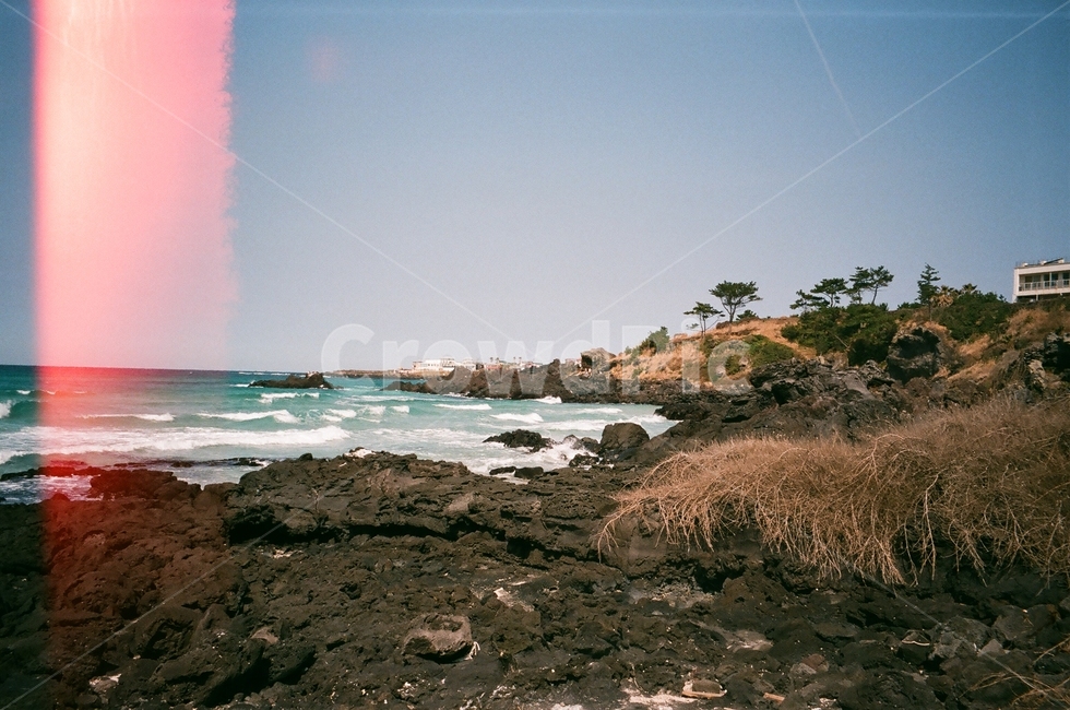 제주도,필름카메라,바다,파도,수평선,자연,풍경,nature,landscape,한국자연풍경,한국자연경관,korea nature landscape,제주도,jeju,jeju island,promontory,곶,water,물,outdoors,옥외,sea,ocean,대양