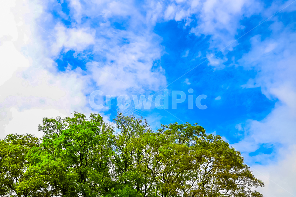 nature,자연,outdoors,옥외,하늘,나무,구름,자연,풍경,nature,landscape