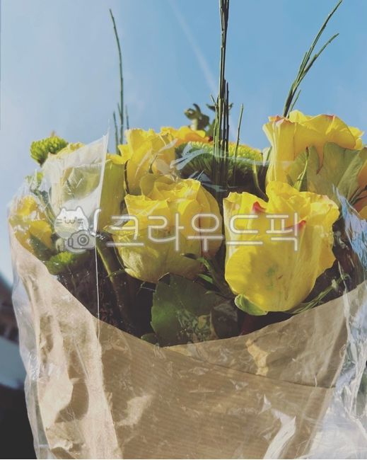 flower,flowerarrangement,꽃꽂이,flowerbouquet,꽃다발,rose,장미,졸업식,졸업식꽃,꽃,노란꽃,튤립,노란색,배경,배경화면,꽃배경,꽃배경화면
