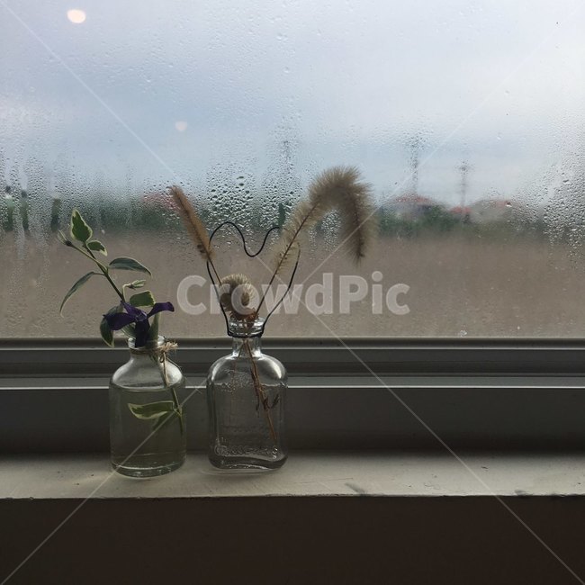 가정장식,homedecor,인테리어소품,창문,식물,꽃병,유리병