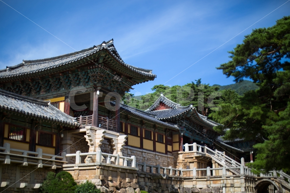 경주,경주불국사,불국사,경주관광지,경주풍경,관광지,풍경,풍경사진,건축물,한옥,6d,오이만두,canon,한국전통,한국문화,korean traditional,korean culture,랜드마크,landmark,tourist attraction,한국랜드마크,한국관광지,한국명소,korea landmark,korea tourist attraction,종교,신앙,religion,belief,faith,건축물,건물외관,exterior,building,structure,architecture,construction