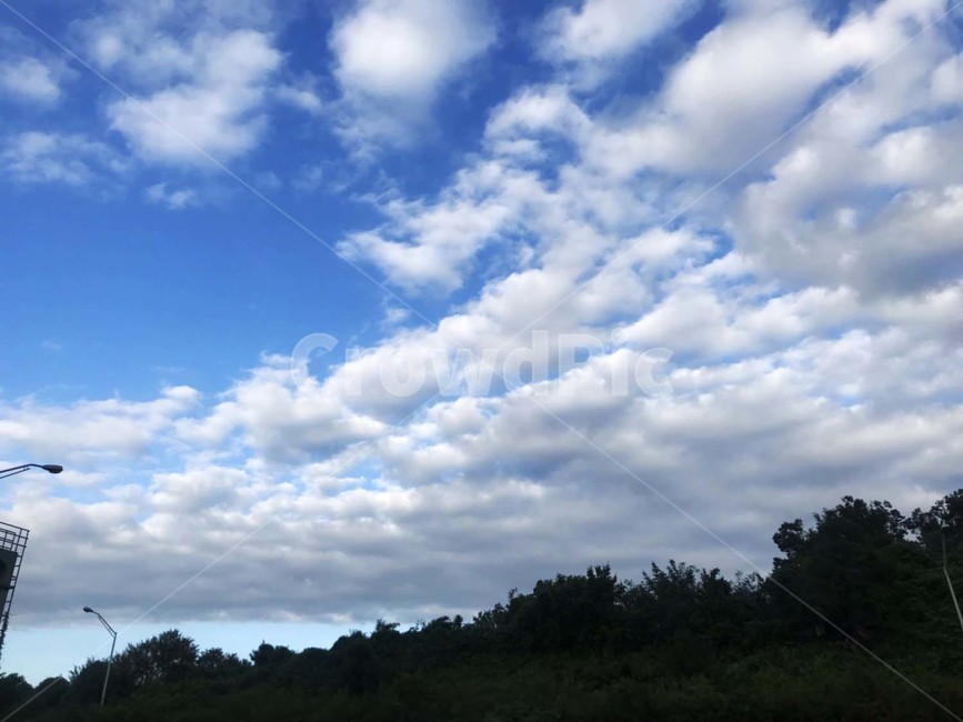 나무,하늘,구름,맑은날,여름,파랑,경치,자연,풍경,식물,nature,outdoors,자연,풍경,nature,landscape,옥외,azure sky,푸른 하늘,sky