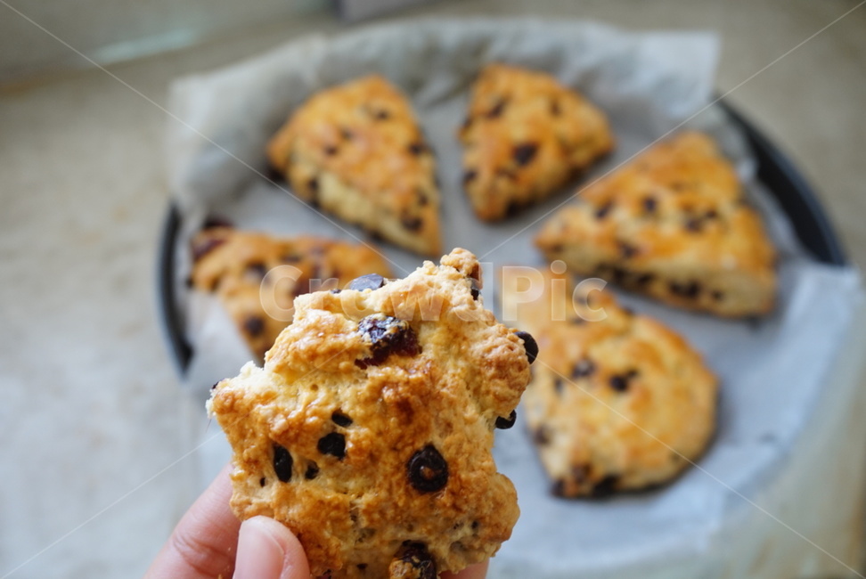 스콘,빵,scone,초코칩스콘,요리,음식,음식,식재료,요리,food,cook,meal,dishes,food reserves,디저트,간식,후식,dessert,snack