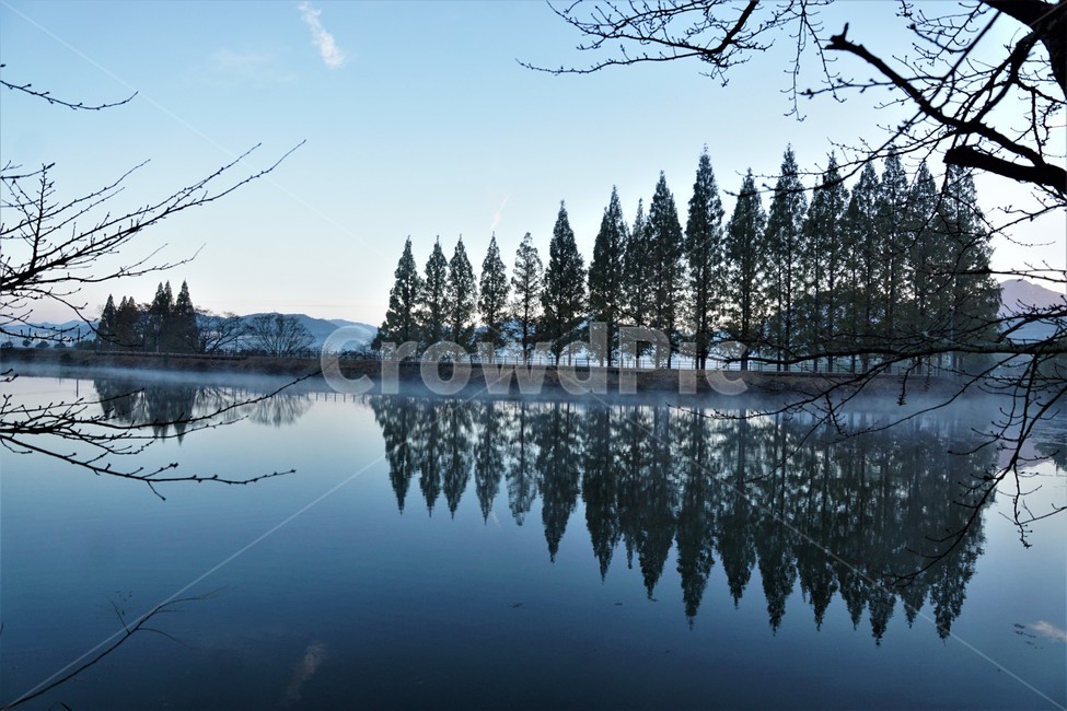 가을,아침,안개,자연,하늘,tree,sky,nature,나무,plant,풍경,autumn,morning,water,물,저수지,reservoir