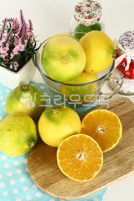 과일,오렌지,귤,황금향,감귤,제주,제주감귤,상큼,달콤,새콤,특산물