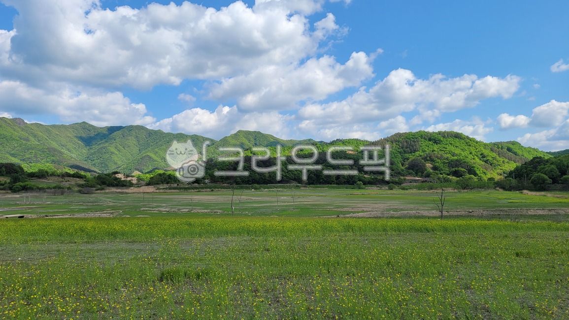 풍경, 들판, 맑은하늘, 하늘과들판, 구름, 사진,이미지,일러스트,캘리그라피 - Nrheehoon작가
