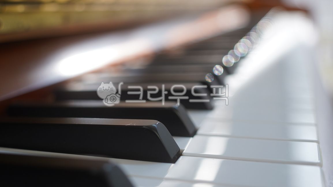 건반, musicalinstrument, 악기, piano, 피아노, 사진,이미지,일러스트,캘리그라피 - 픽스튜디오작가