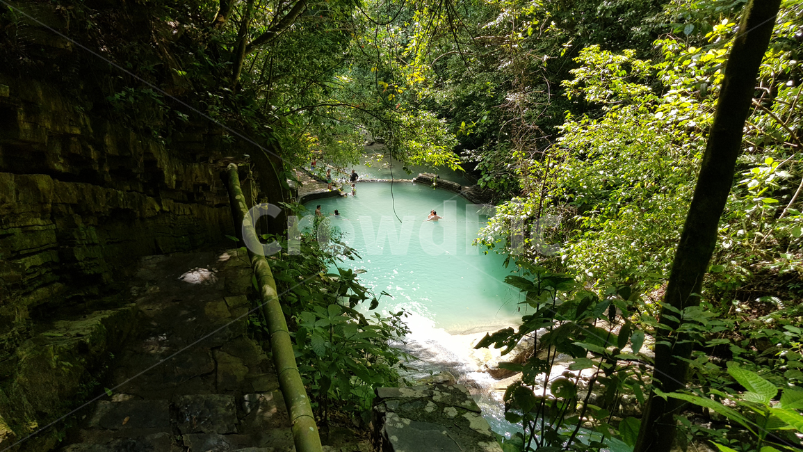 식물,호수,수영장,자연,나무,옥외,열대우림,밀림,정글,plant,멕시코,vegetation,land,nature,outdoors,tree,rainforest,jungle