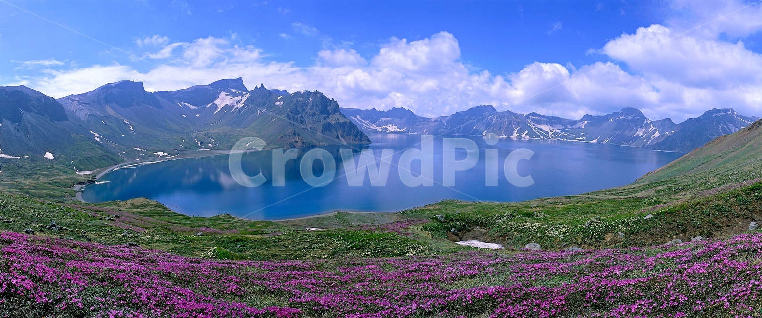 nature,자연,outdoors,옥외,mountainrange,산맥,mountain,산,slope,경사,water,물,백두산,천지,반영,계절,백두산봄,야생화,백두산야생화,구름,하늘,만개,꽃,자연,풍경,nature,landscape