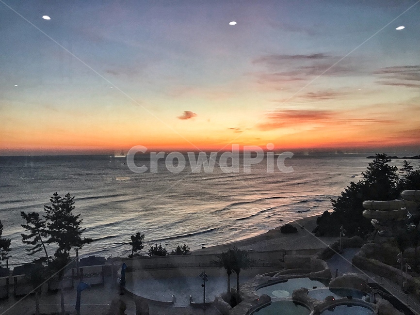 아침,바다,일출,파도,지평선,자연,풍경,nature,landscape,해변,바다,beach,sea,tree,나무,plant,식물,fir,전나무