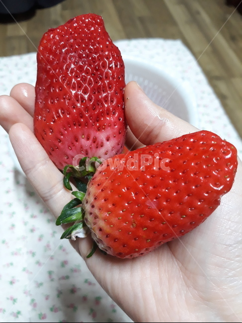 food,음식,fruit,과일,딸기,plant,식물,strawberry,왕딸기,큰딸기,빨간색,빨강색,과일,열매,fruit