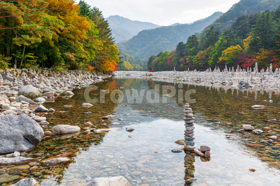 백담계곡,백담사,설악산,강원도,가을,반영,자갈,돌탑,국립공원,계류,강,냇가,water,outdoors,tree,plant,nature,fir,한국자연풍경,한국자연경관,korea nature landscape