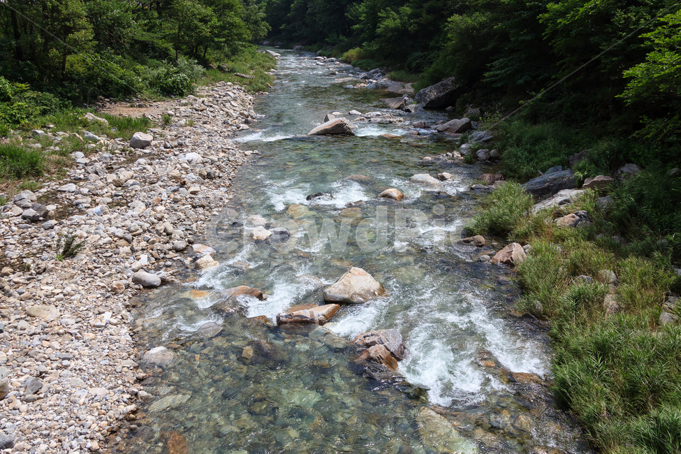 시냇물,강원도,여름,돌,환경,숲,물줄기,풍경,물,여름,계절,summer,season,자연,풍경,nature,landscape,water,stream,흐름,outdoors,옥외,creek,작은 만