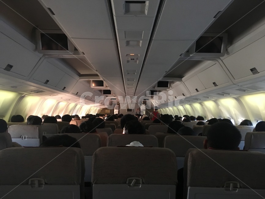 인간,person,사람,항공기,비행기,기내,만석,full,flight