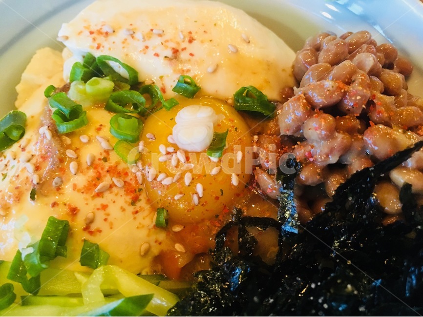 낫또,두부,요리,음식,콩,음식,식재료,요리,food,cook,meal,dishes,food reserves,일식,일본음식,일본요리,Japanese food,Japanese dishes,Japanese meal,Japanese cook
